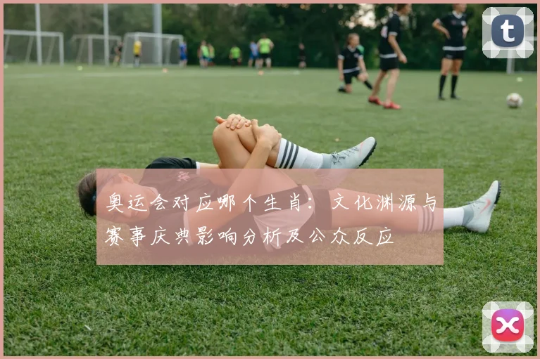 奥运会对应哪个生肖：文化渊源与赛事庆典影响分析及公众反应