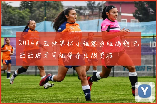 2014巴西世界杯小组赛分组揭晓 巴西西班牙同组争夺出线资格