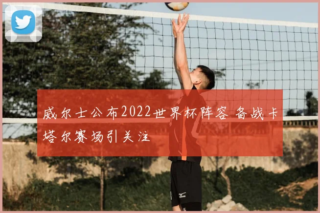 威尔士公布2022世界杯阵容 备战卡塔尔赛场引关注