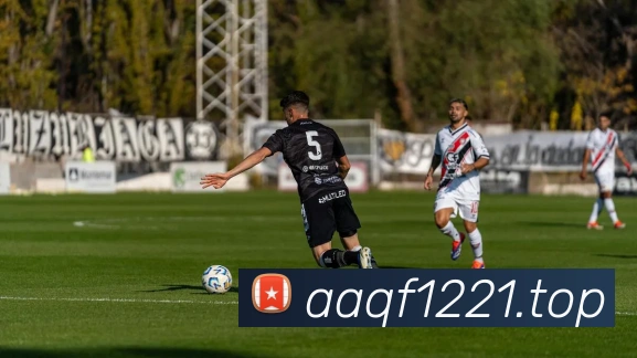 世界杯中国官网平台生态图